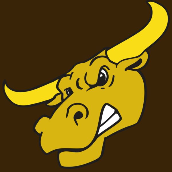 AR BULL 29 RC Thumbnail