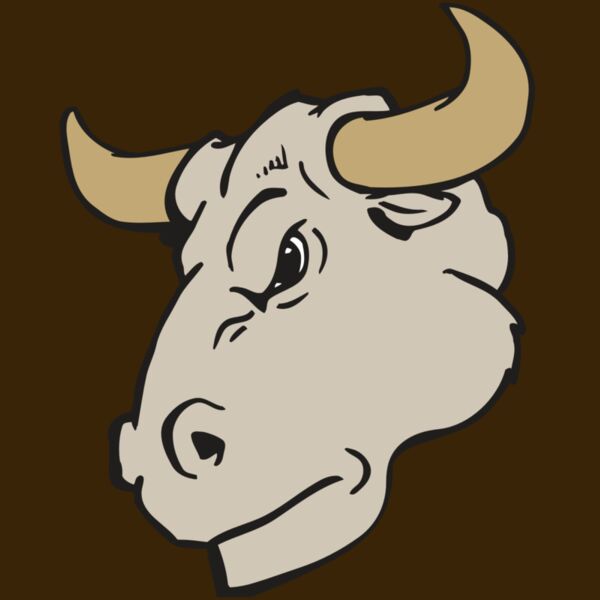 AR BULL 25 RC Thumbnail