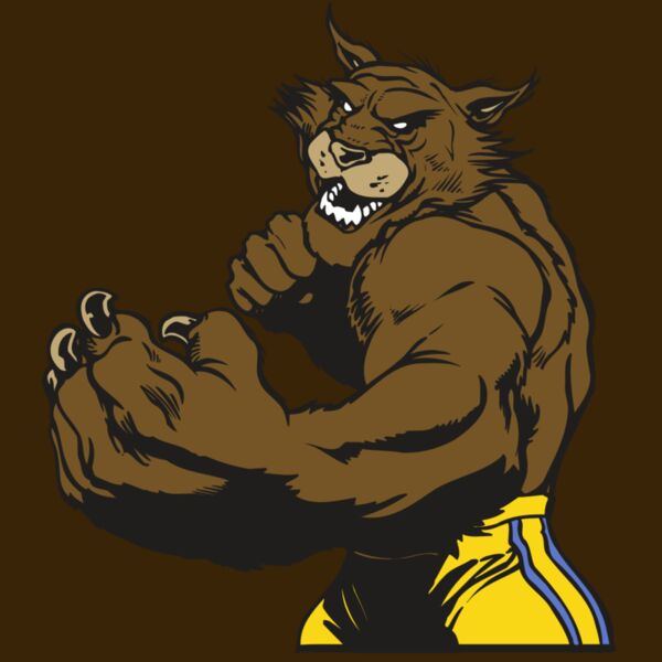 AR WILDCAT 48 RC Thumbnail