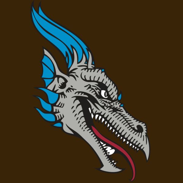 BAW DRAGON 07 RC Thumbnail