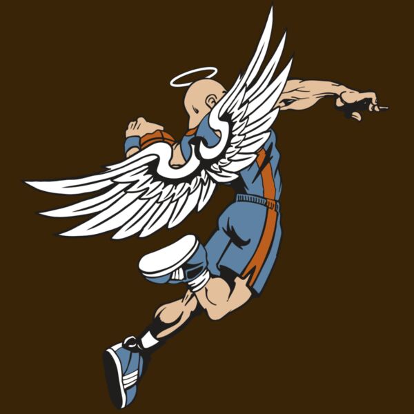 AR17 ANGEL BSKT 02 RQC Thumbnail