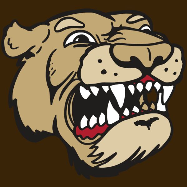 AR5 COUGAR 04 RQC Thumbnail