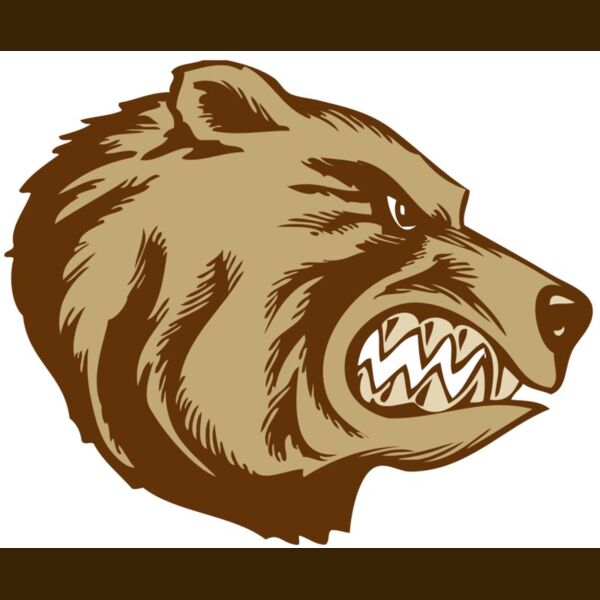 BAW BEAR 16 RC Thumbnail