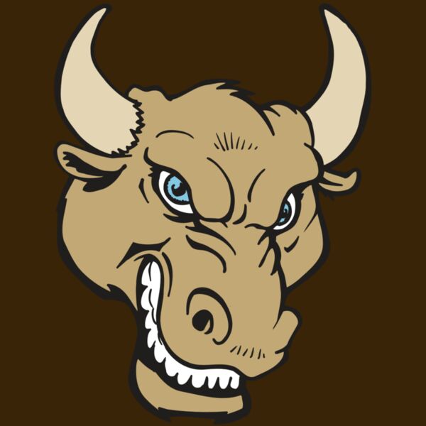 AR5 BULL 13 RQC Thumbnail