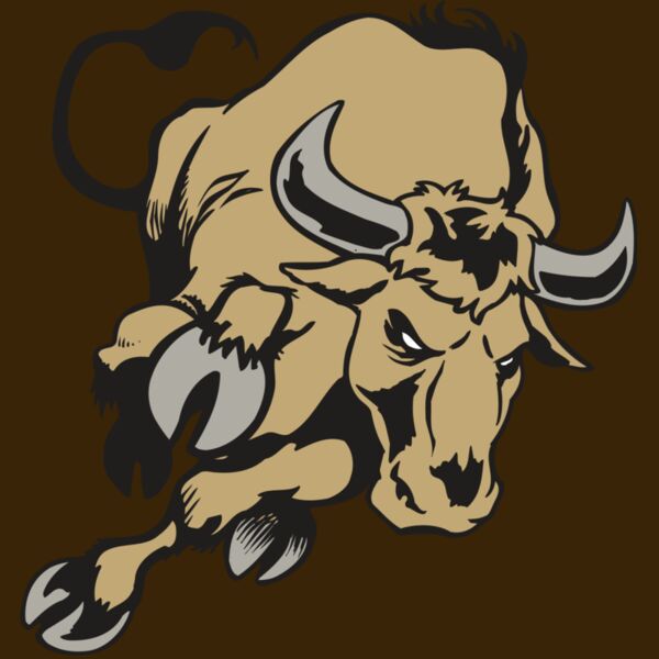 AR BULL 51 RC Thumbnail