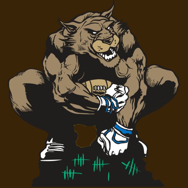 AR WILDCAT 34 RC Thumbnail