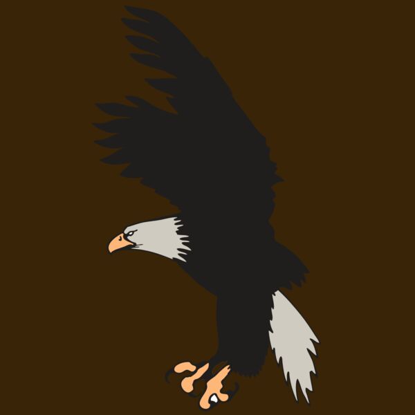 AR EAGLE 91 RC Thumbnail