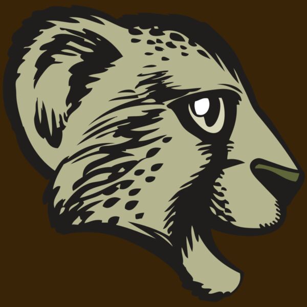 BAW CHEETAH 17 RC Thumbnail