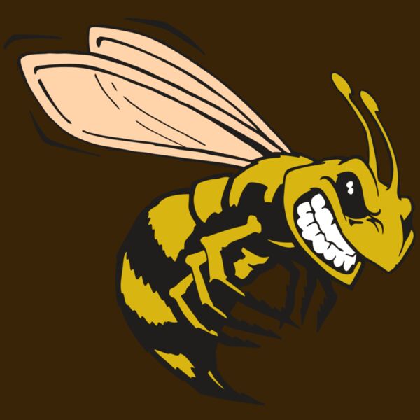 AR BEE 50 RC Thumbnail