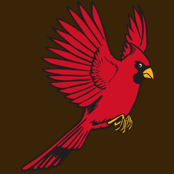 BAW CARDINAL 19 RC Thumbnail