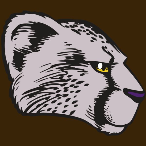 BAW CHEETAH 20 RC Thumbnail