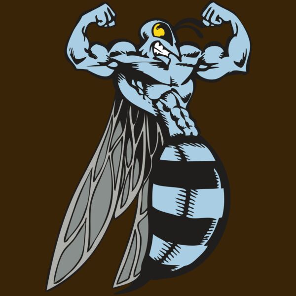 BAW BEE 08 RC Thumbnail