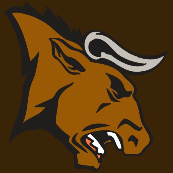 AR BULL 38 RC Thumbnail