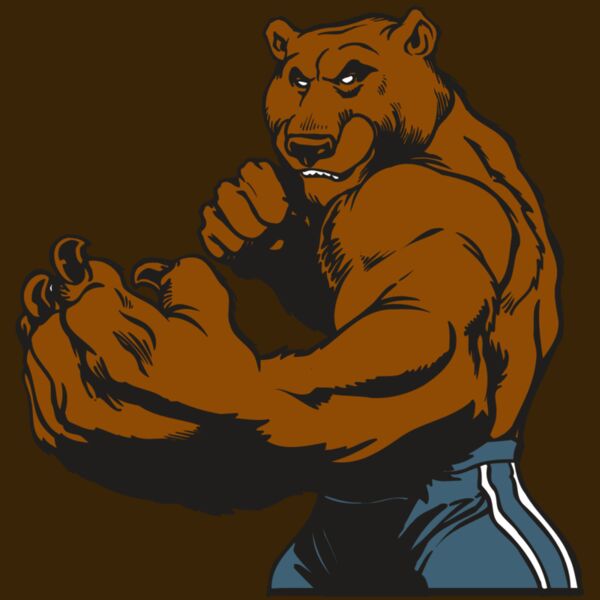 AR BEAR 31 RC Thumbnail