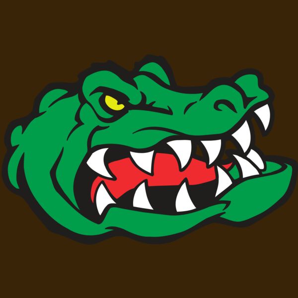 AR GATOR 19 RQC Thumbnail