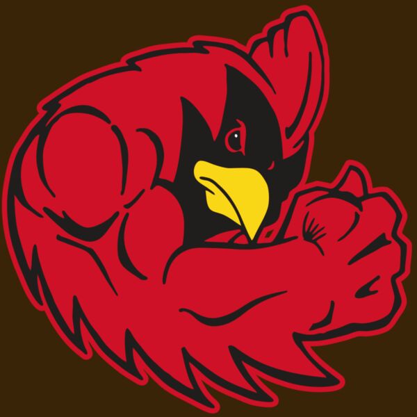 AR CARDINAL 29 RC Thumbnail