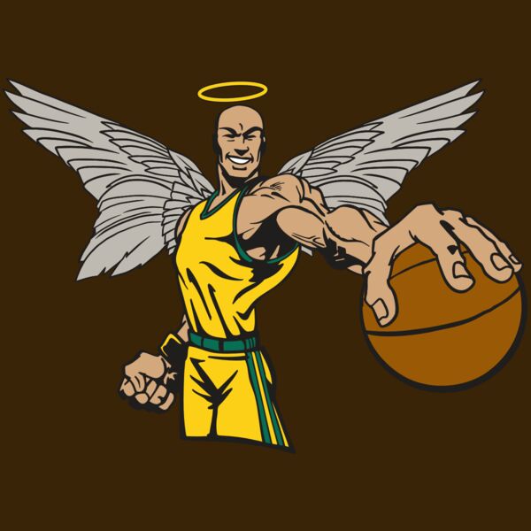 AR17 ANGEL BSKT 06 RQC Thumbnail