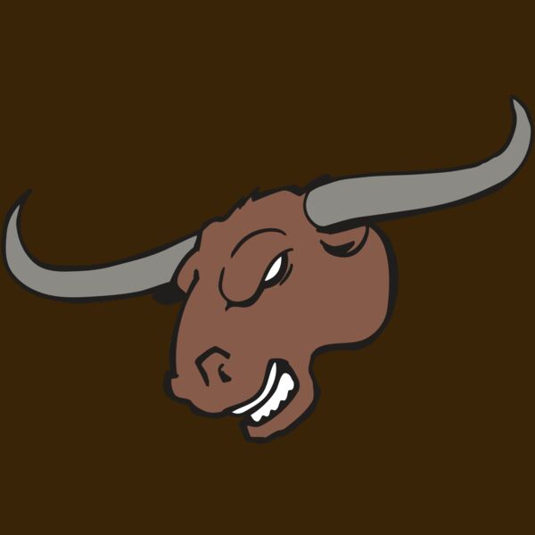 AR BULL 10 RC Thumbnail