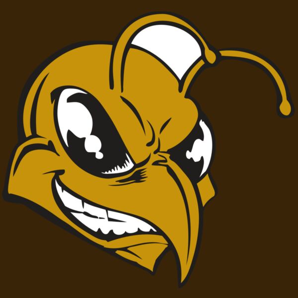 BAW BEE 18 RC Thumbnail