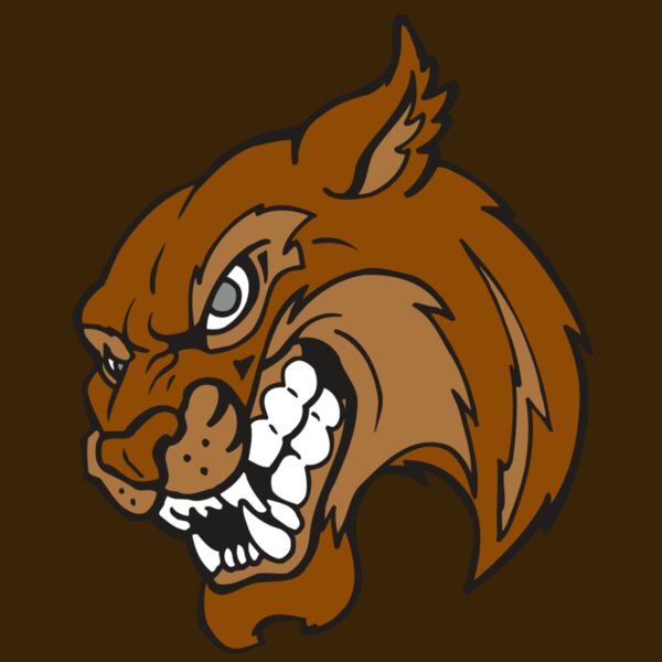 AR5 BOBCAT 07 RQC Thumbnail