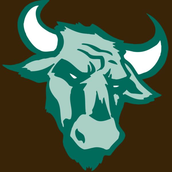 AR BULL 37 RC Thumbnail