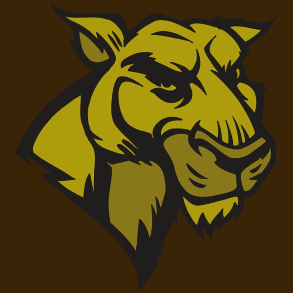 AR5 COUGAR 18 RQC Thumbnail