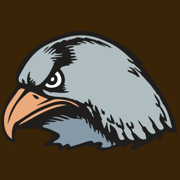 BAW HWK FLCN 03 RC Thumbnail