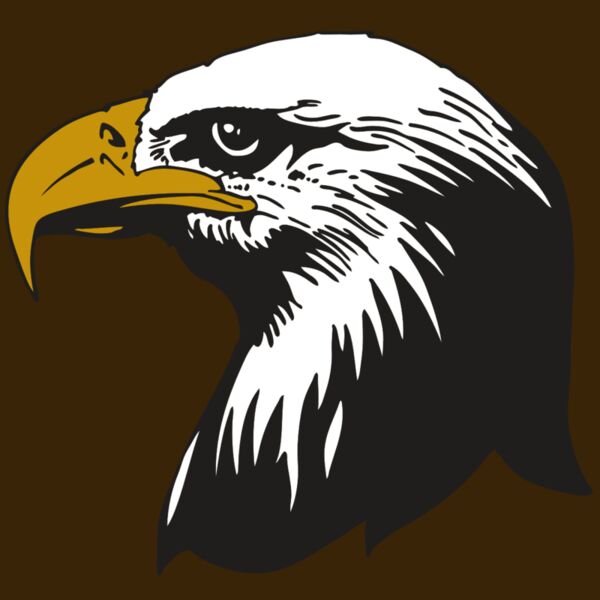 AR EAGLE 87 RC Thumbnail