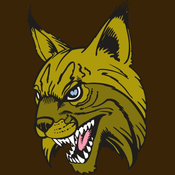 BAW BOBCAT 05 RC Thumbnail