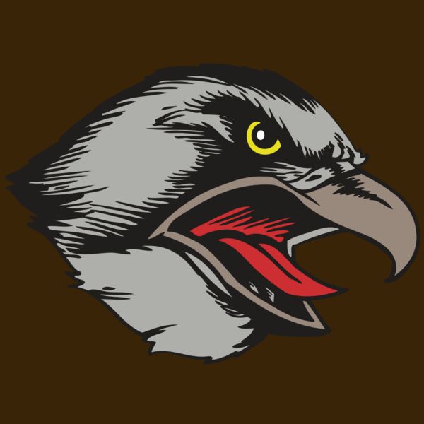 BAW HWK FLCN 13 RC Thumbnail