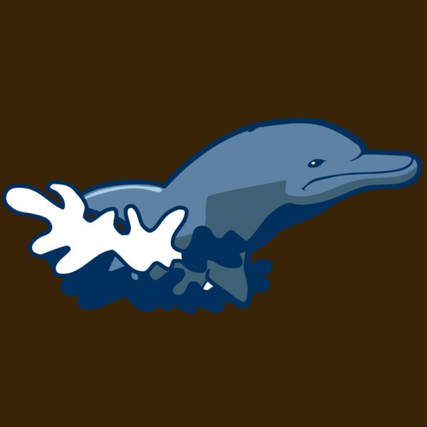 AR DOLPIN 10 RC Thumbnail