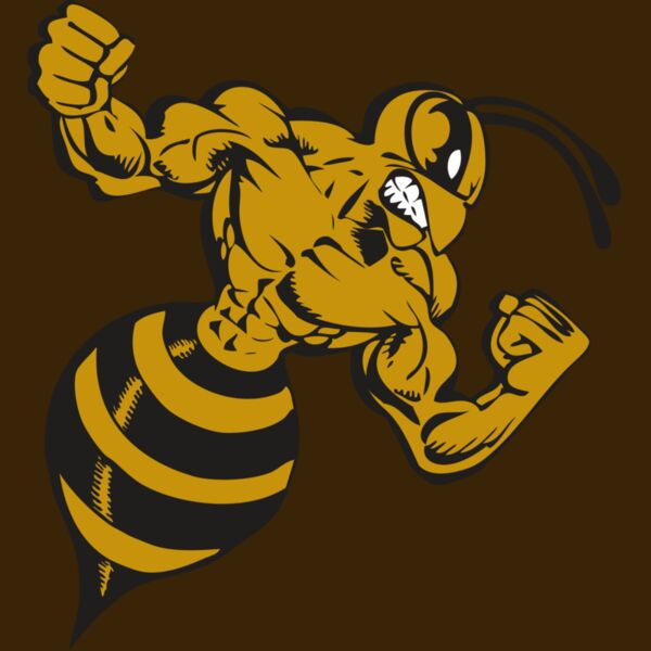 BAW BEE 01 RC Thumbnail