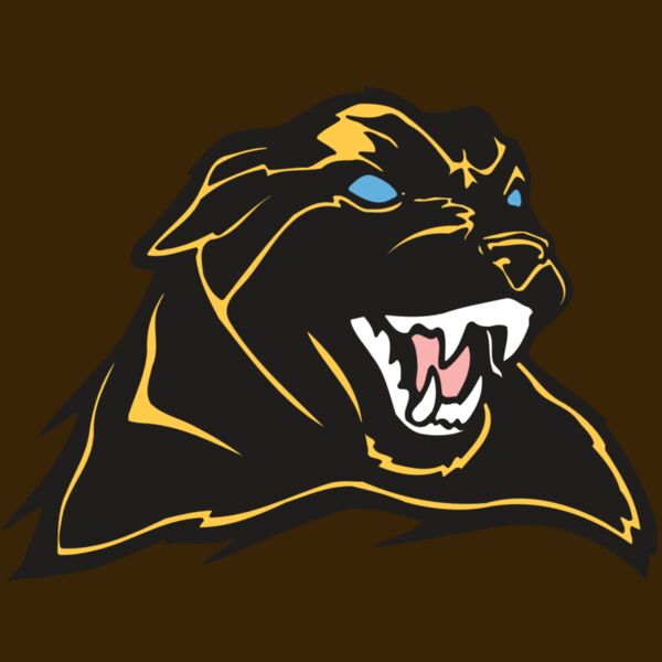 AR COUGAR 42 RC Thumbnail