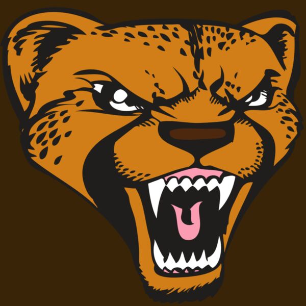 BAW CHEETAH 12 RC Thumbnail