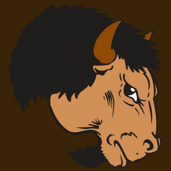 AR BUFFALO 16 RC Thumbnail