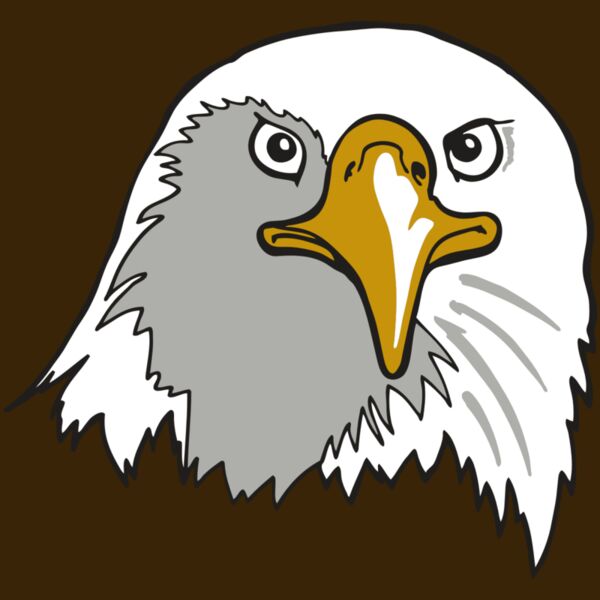 AR EAGLE 39 RC Thumbnail