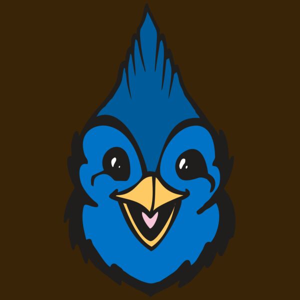 BAW BLUEJAY 19 RC Thumbnail