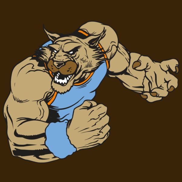 AR WILDCAT 46 RC Thumbnail