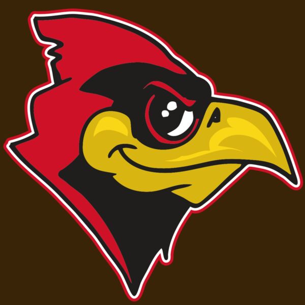 AR CARDINAL 38 RC Thumbnail