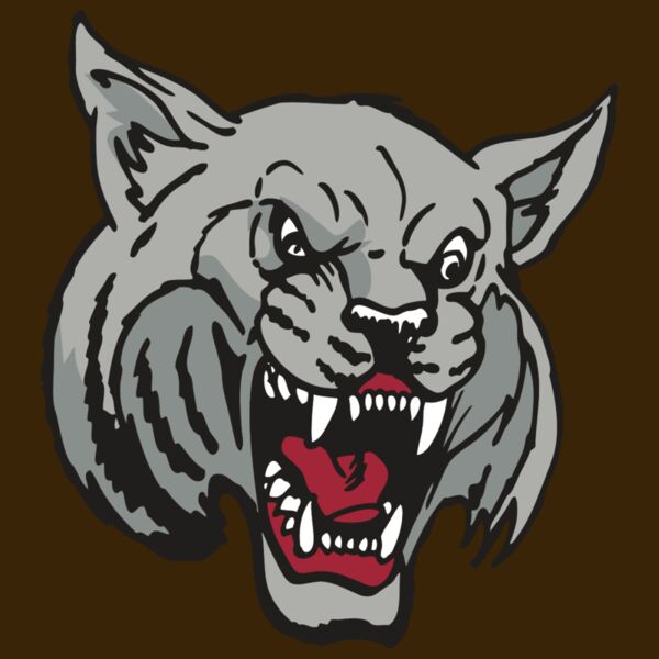 AR WILDCAT 42 RC Thumbnail