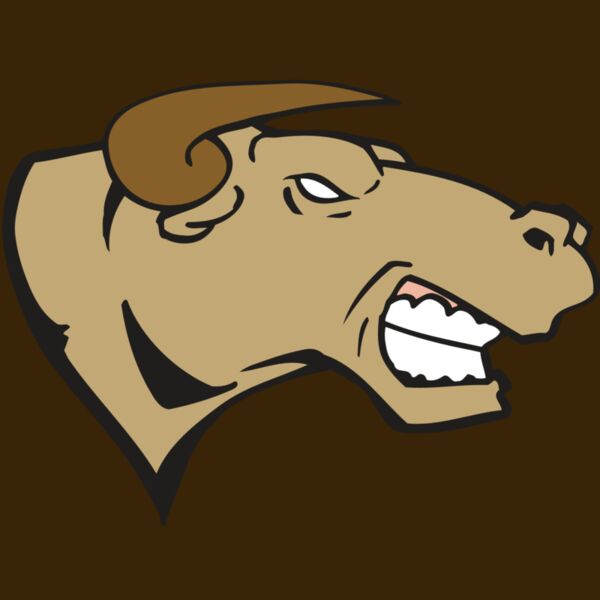 AR BULL 30 RC Thumbnail