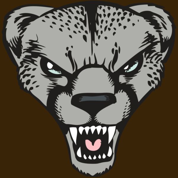 BAW CHEETAH 15 RC Thumbnail