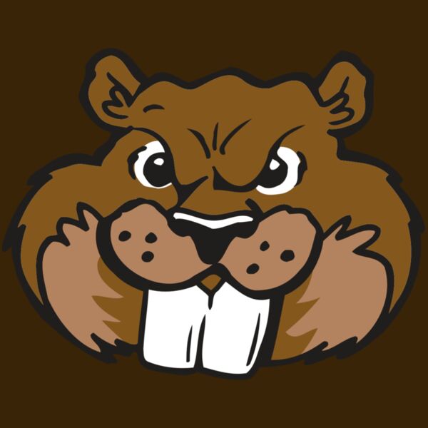 AR BEAVER 10 RC Thumbnail