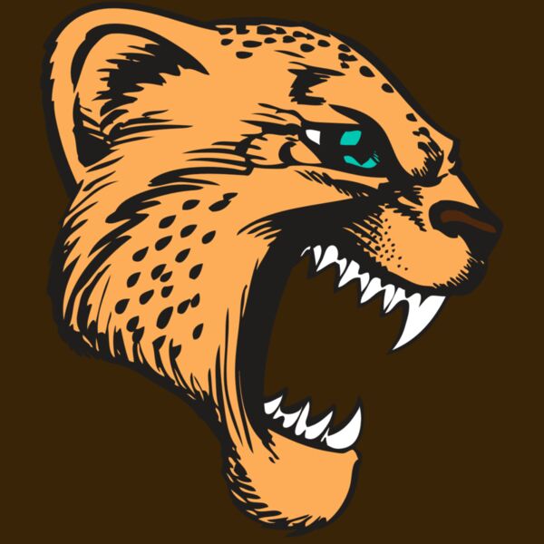 BAW CHEETAH 11 RC Thumbnail