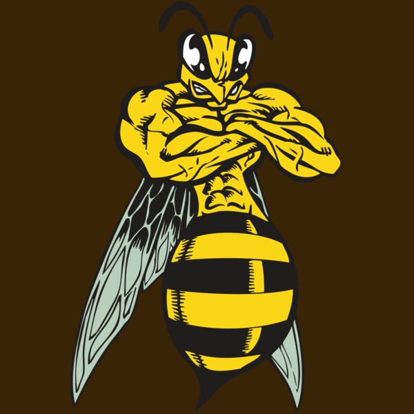 BAW BEE 16 RC Thumbnail