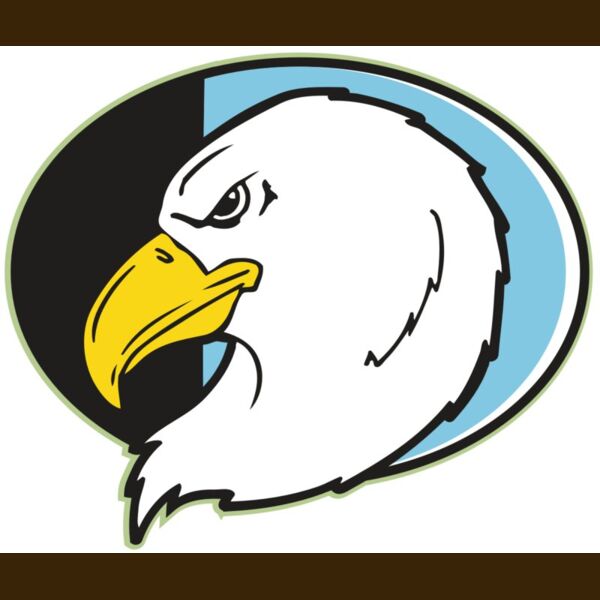 AR EAGLE 55 RC Thumbnail