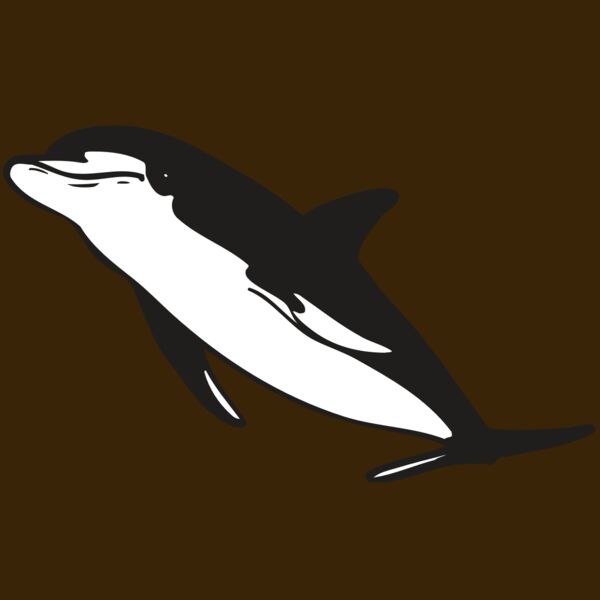 AR DOLPIN 13 RC Thumbnail