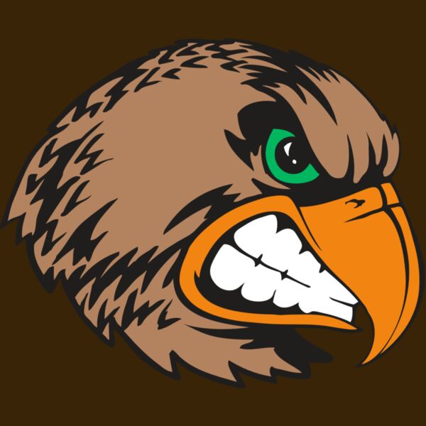 BAW HWK FLCN 09 RC Thumbnail