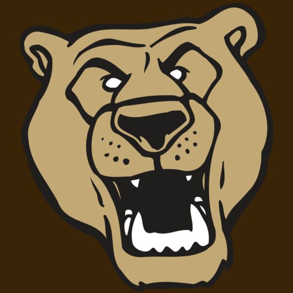 AR BEAR 13 RC Thumbnail