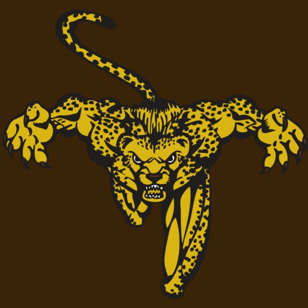 BAW CHEETAH 08 RC Thumbnail